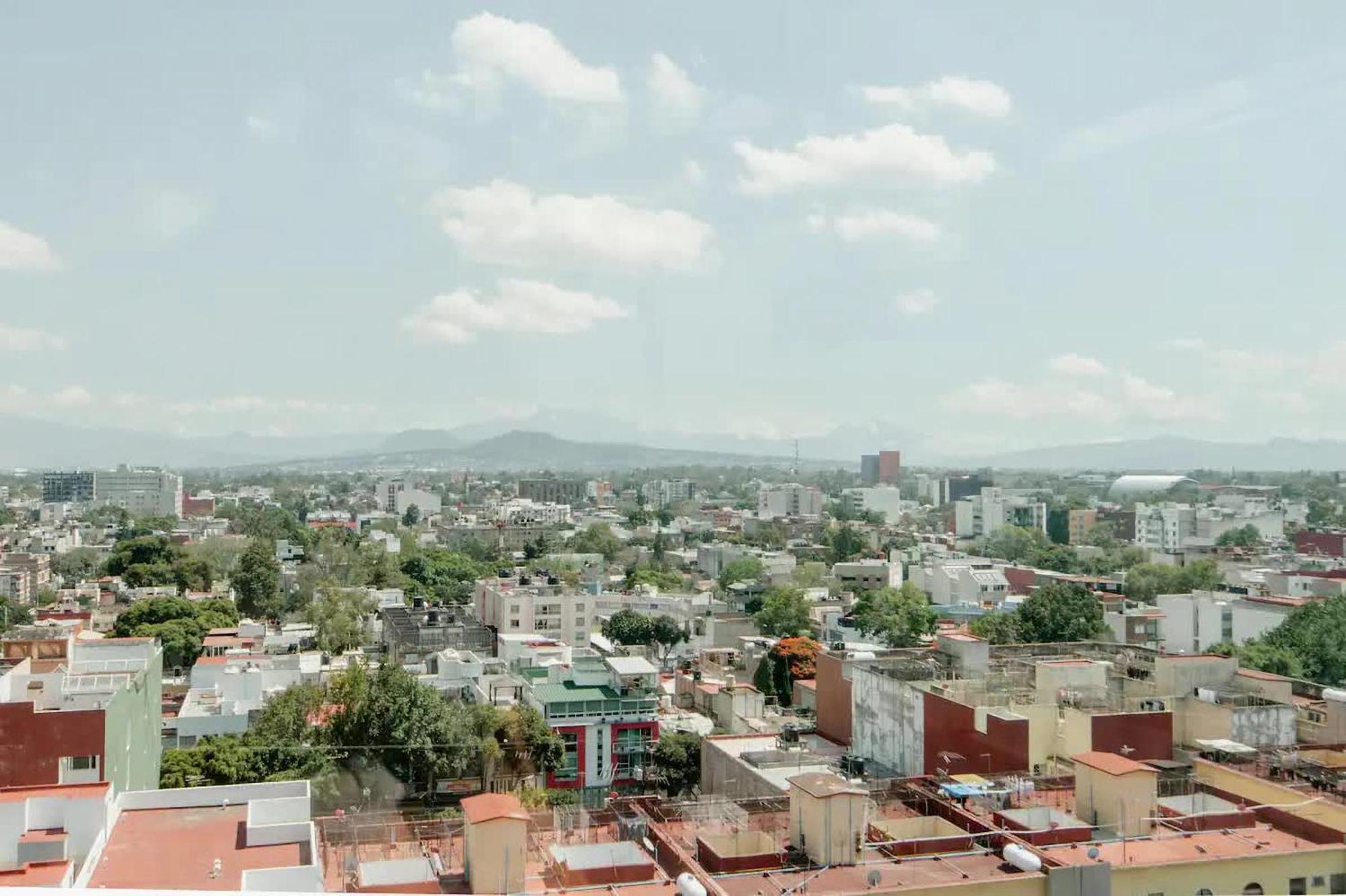 The Jungle Loft Tropical Comfort In A Centric Location With Kitchen Mexico City Ngoại thất bức ảnh